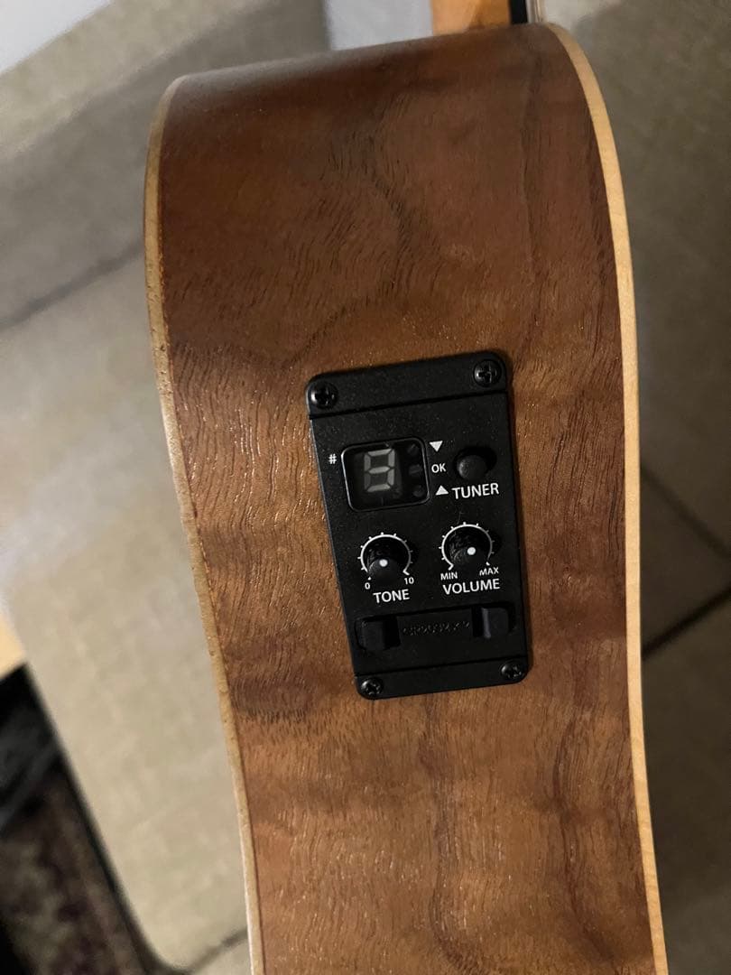 Taylor Baby Taylo-E (エレアコ)