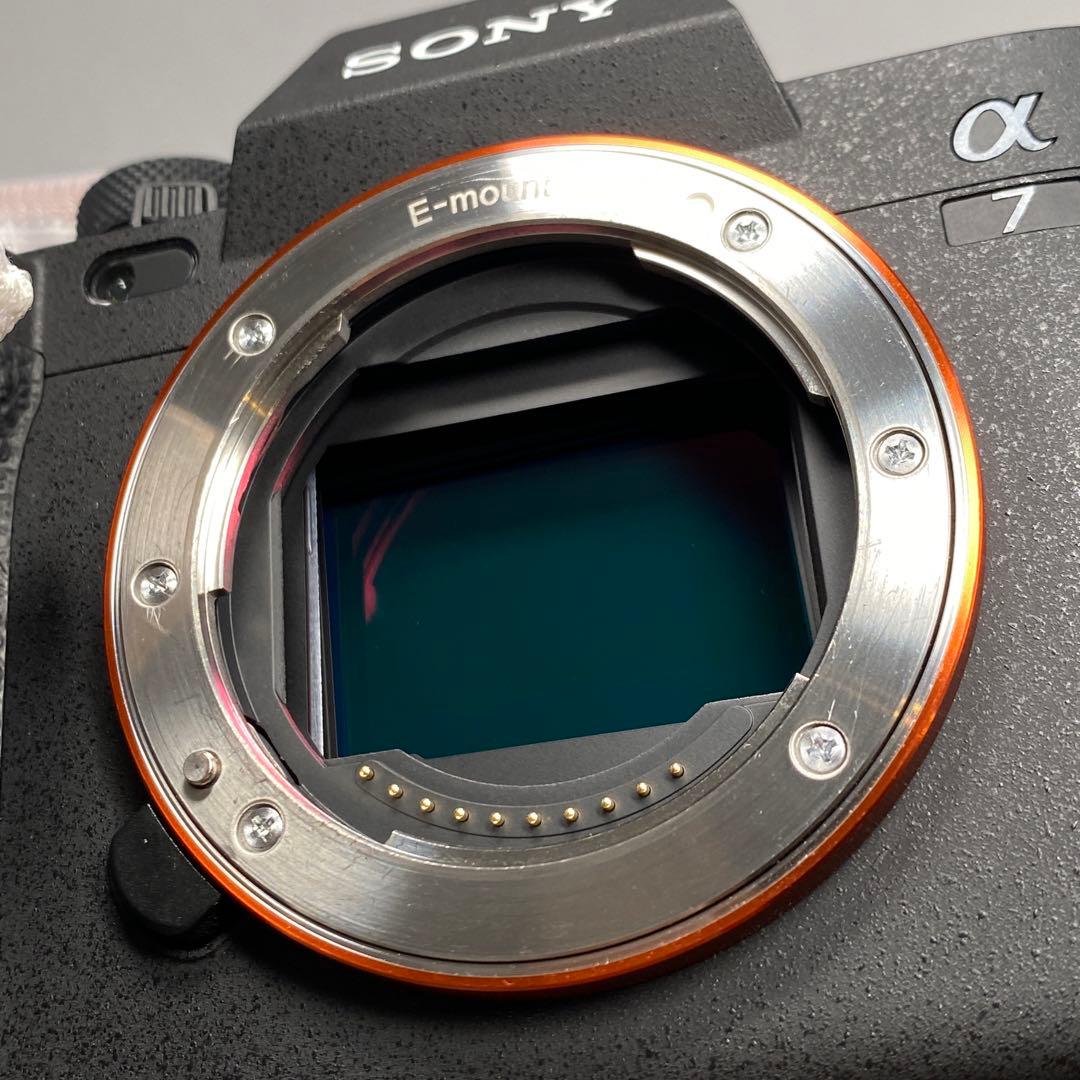 【2024年7月購入】SONY α7Ⅳ 保証あり　smallrigケージ付