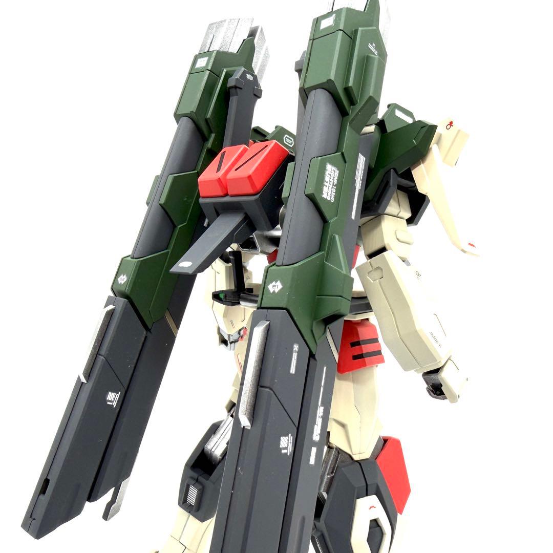 専用　デュエルブリッツ&ライトニングバスター