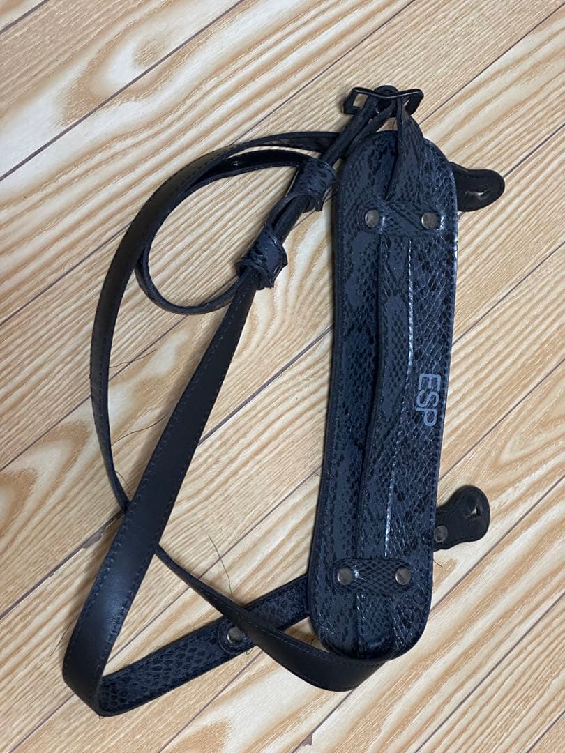 EDWARDS / E-K-GA/TM DIR EN GREY 薫モデル