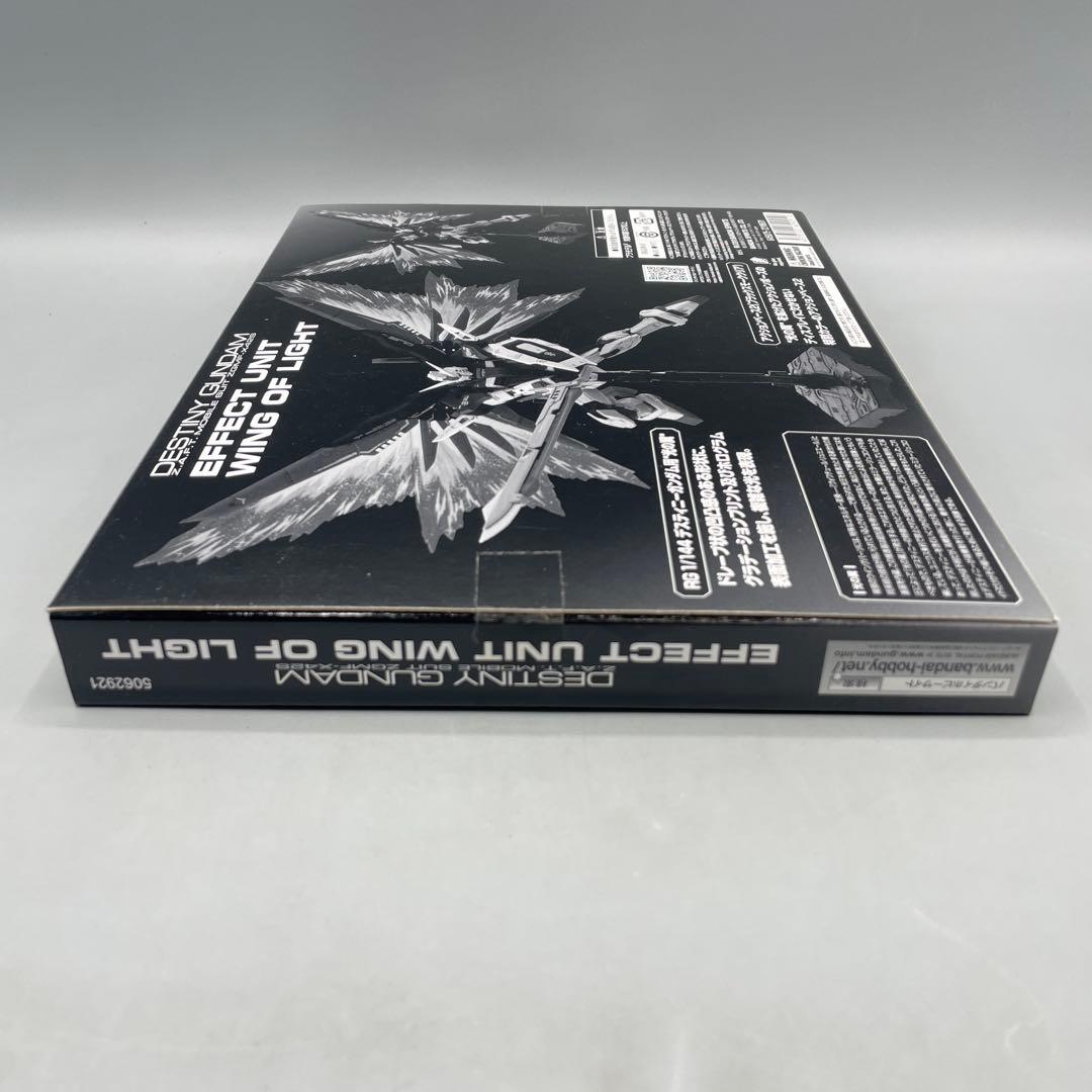 RG デスティニーガンダム チタニウムフィニッシュ & 光の翼