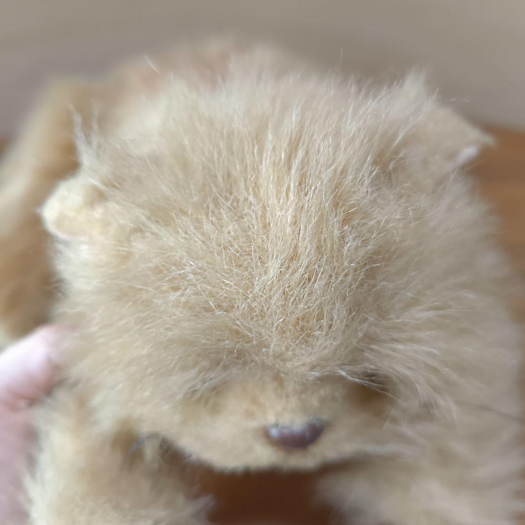 昭和レトロ 希少 レア オオイケ イリオモテヤマネコ ねこ　Oike