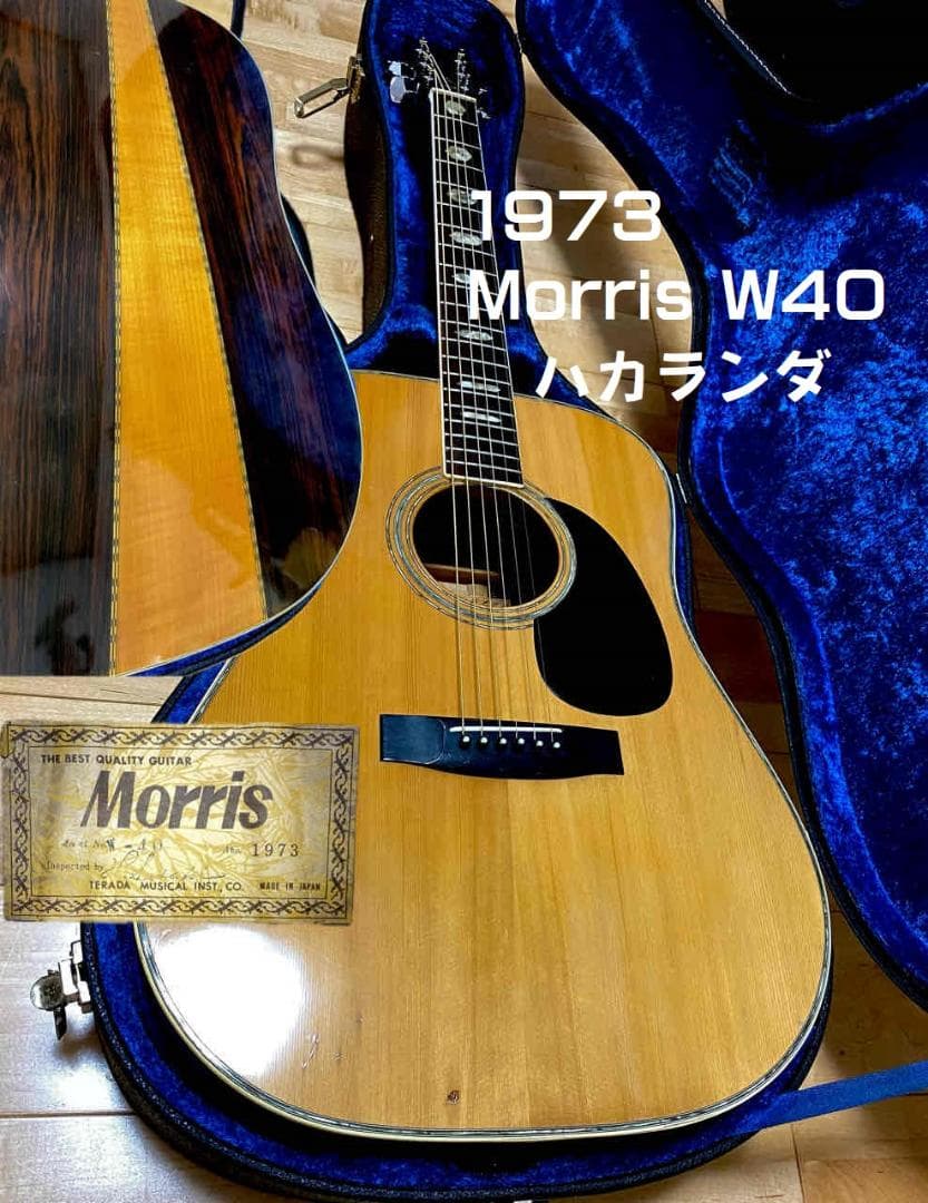 勇*悟様 値下げ希少❣人気種　1973年morris　W-40　ハカランダ！HC
