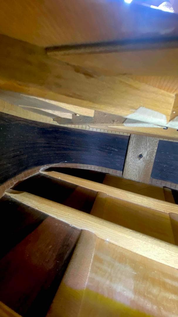 勇*悟様 値下げ希少❣人気種　1973年morris　W-40　ハカランダ！HC