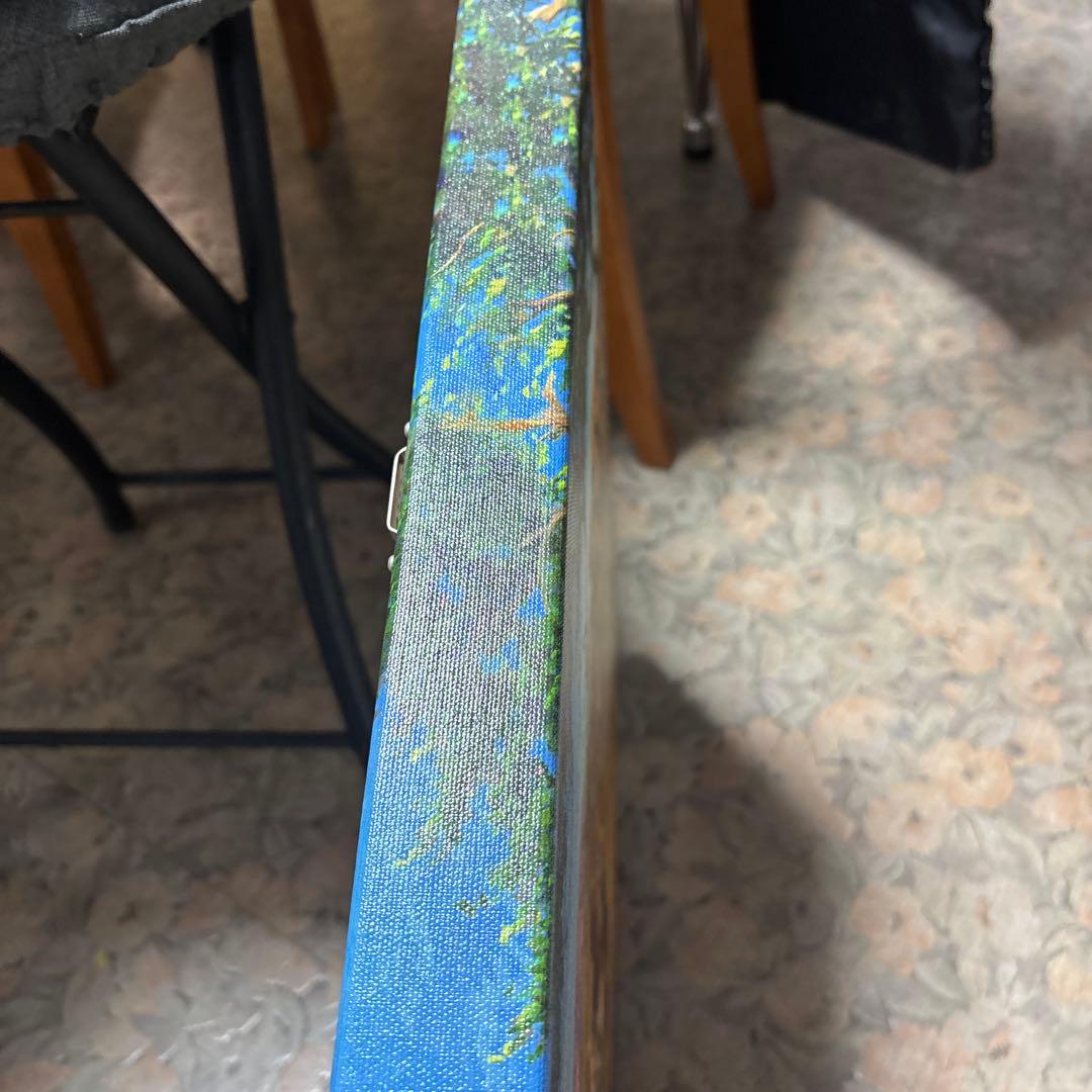 トーマスキンケード　ディズニー　ミッキー&ミニー/イン ザ アウトバック