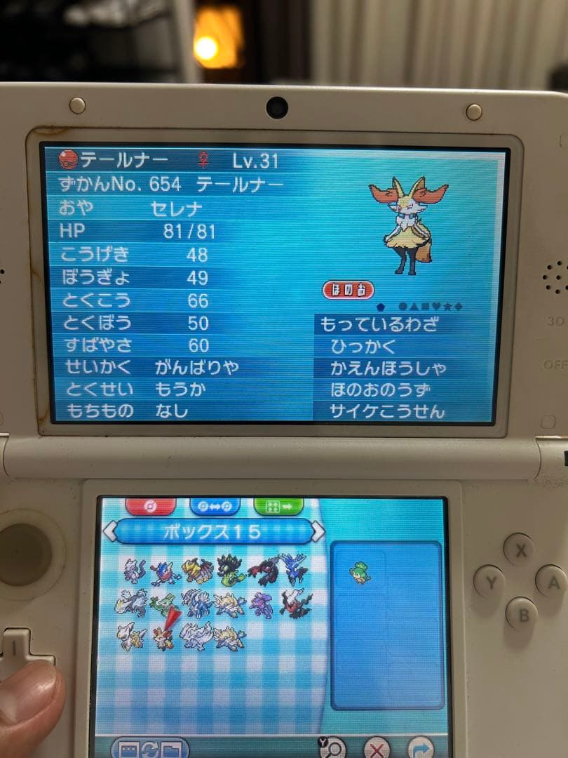 オメガルビー　3dsカセット