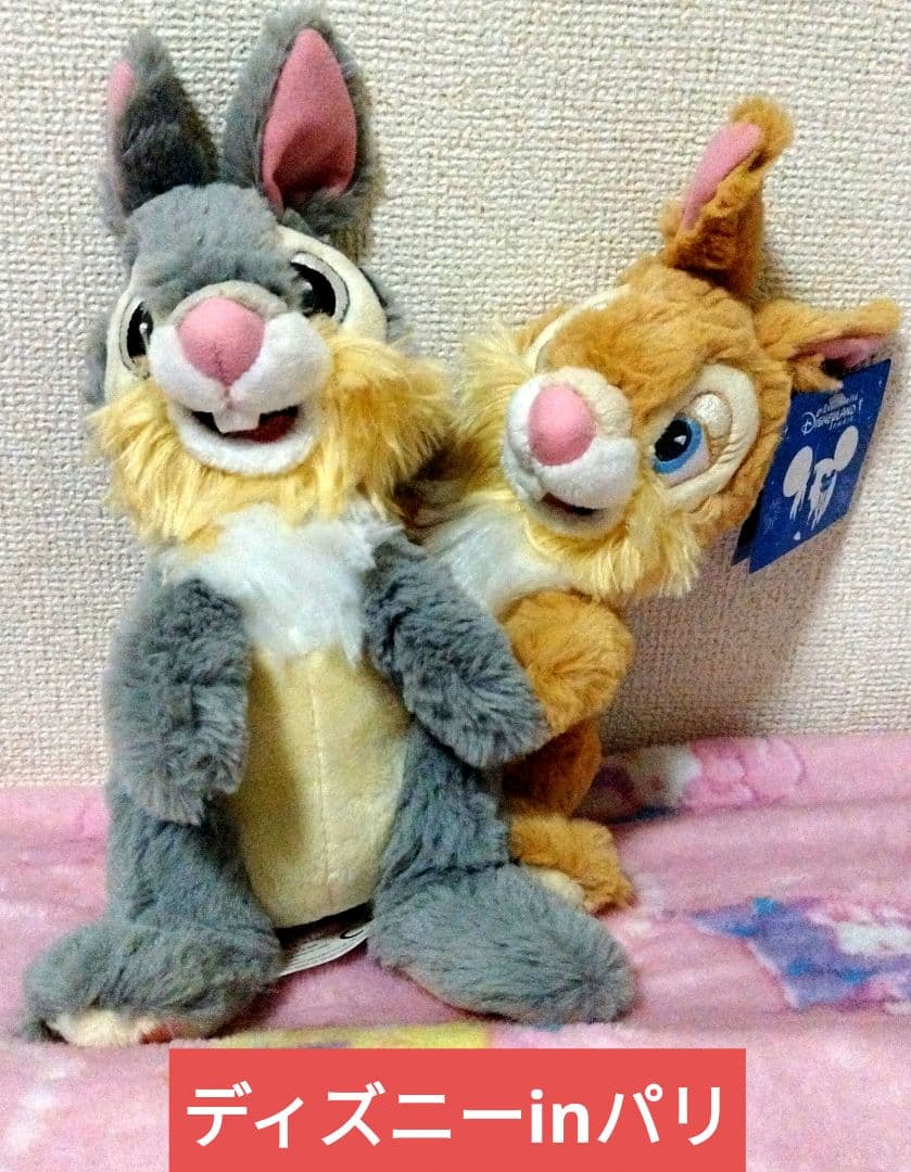 とんすけ・ミスバニーのぬいぐるみ（抱きしめられるタイプ）ディズニーランドinパリ