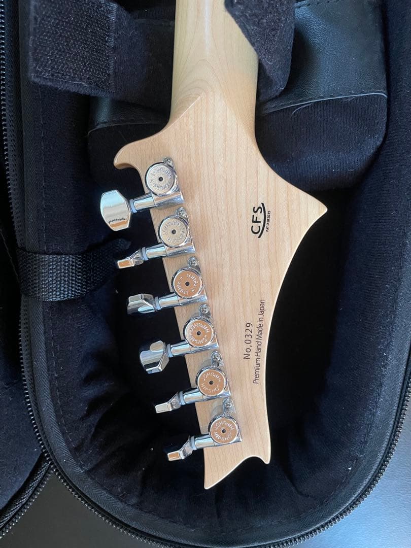 【激レア】G-Life Guitars DSG Classic ロイヤルブルー