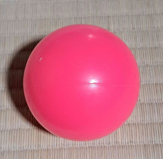 SONYアイボ 犬型ロボット ERS-312音声認識機能 動作品本体と付属品