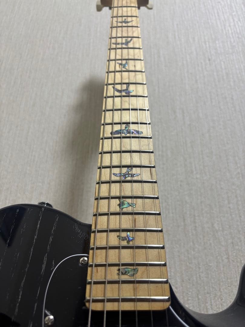 PRS SE NF 53　Black Doghair【軽量個体】