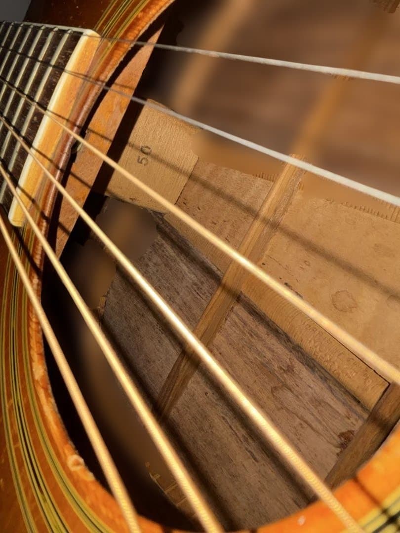 ジャパンヴィンテージMORRIS スペシャルW-50 sヤイリ製