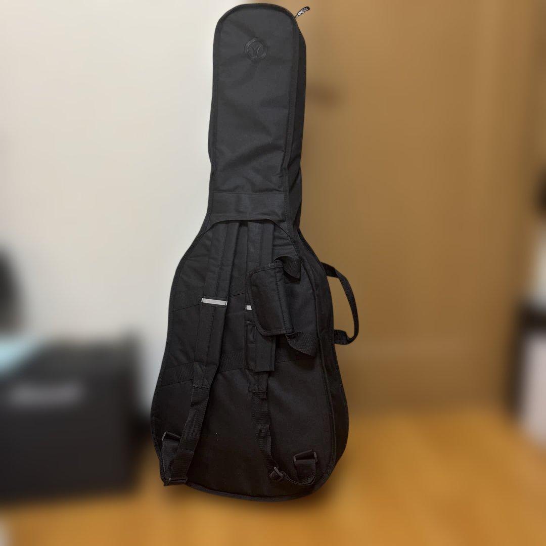 ジャパンヴィンテージMORRIS スペシャルW-50 sヤイリ製