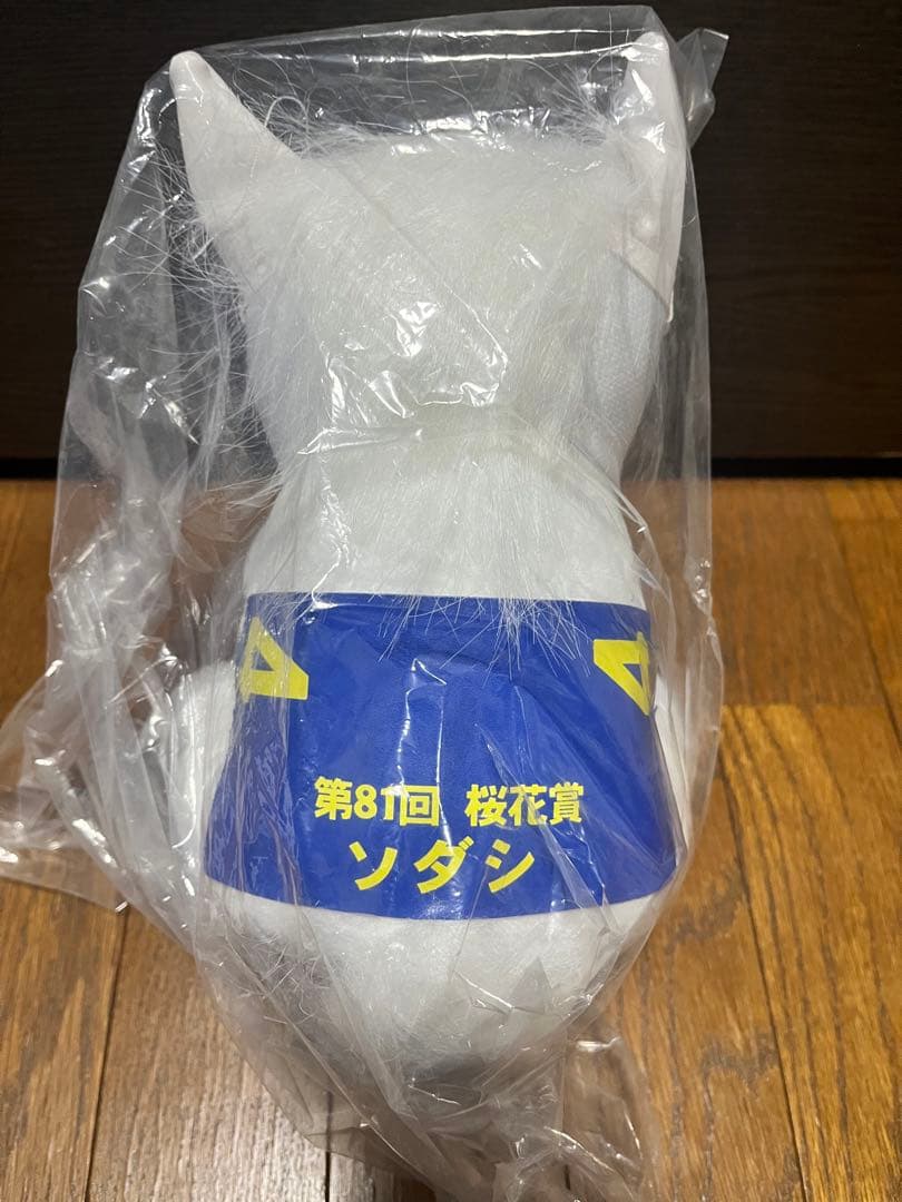 アイドルホース　ソダシ