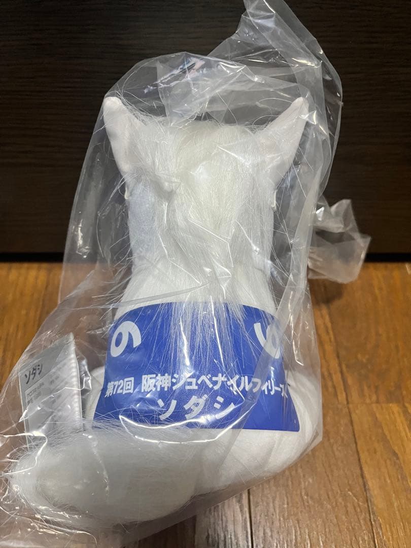 アイドルホース　ソダシ