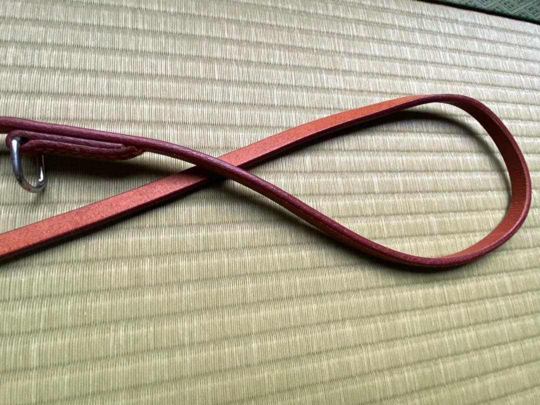 革の犬用リードと軍手はおまけに！