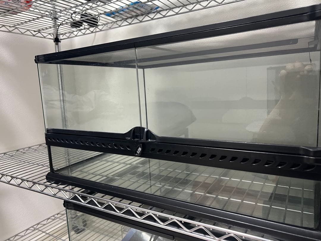 引き取り限定　グラステラリウム6030