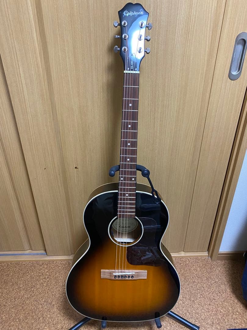 エピフォン Epiphone EL-00 PRO/VS