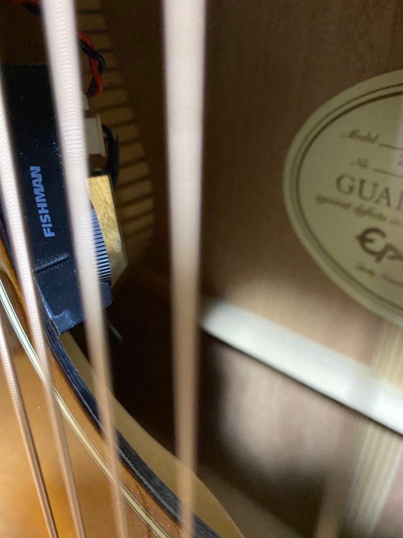 エピフォン Epiphone EL-00 PRO/VS