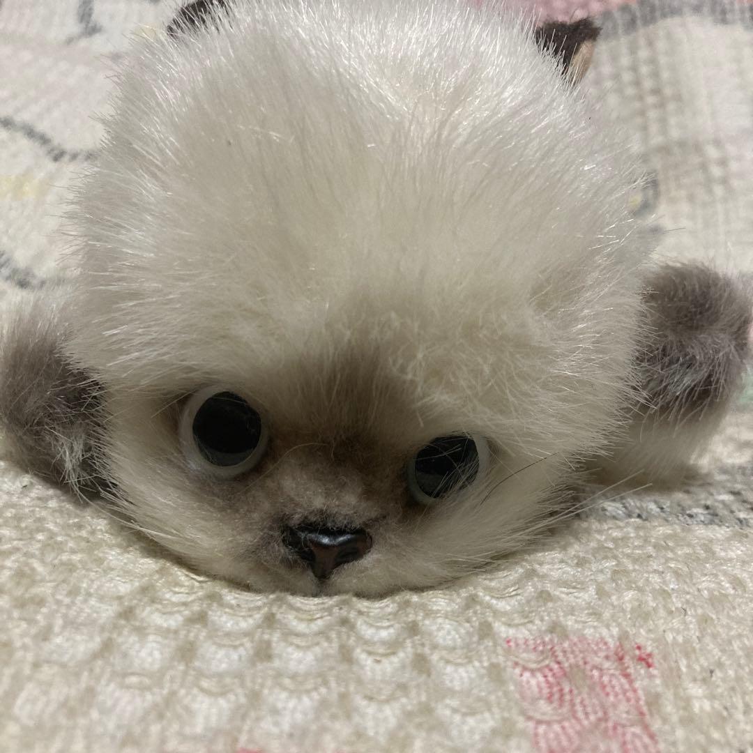 昭和レトロ　リーベ社　猫　寝そべりポーズ　ぬいぐるみ　中古品