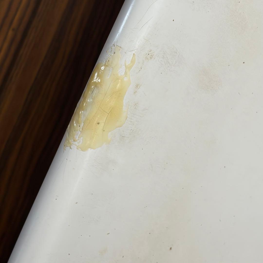 サンタクルーズ サーフボード パンプキン6'4\" ショートボード ファンボード