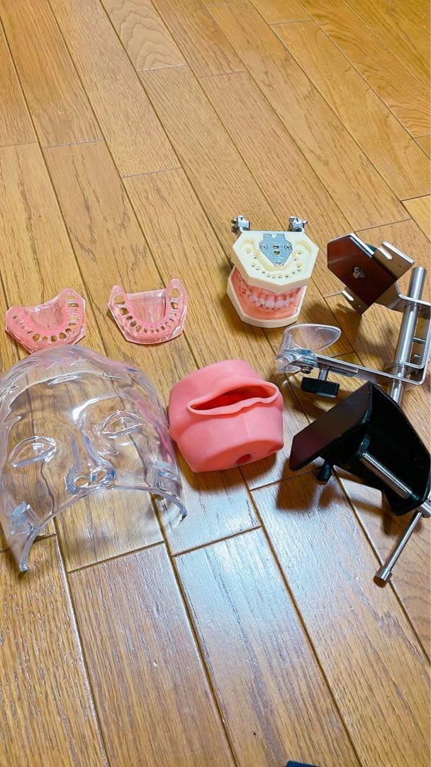 歯科衛生士　シンプルマネキン