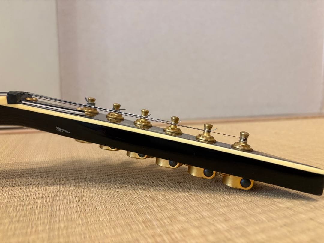 FERNANDES TEJ-55G リミテッドエディション