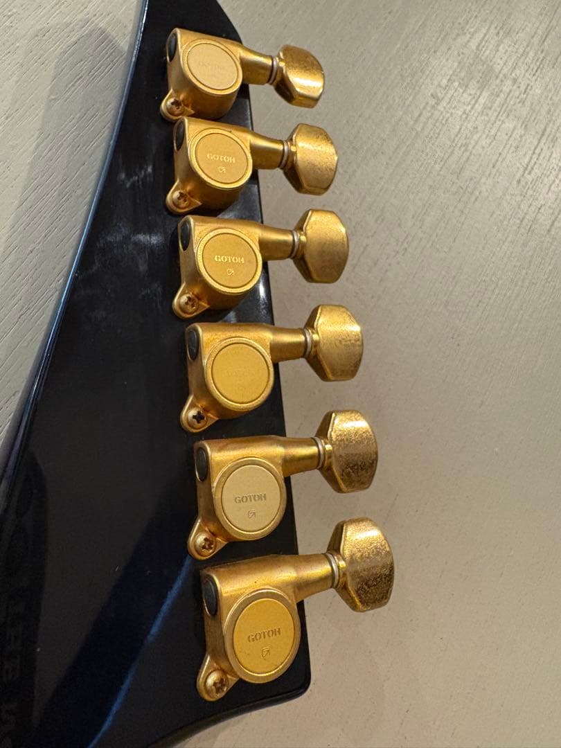 FERNANDES TEJ-55G リミテッドエディション