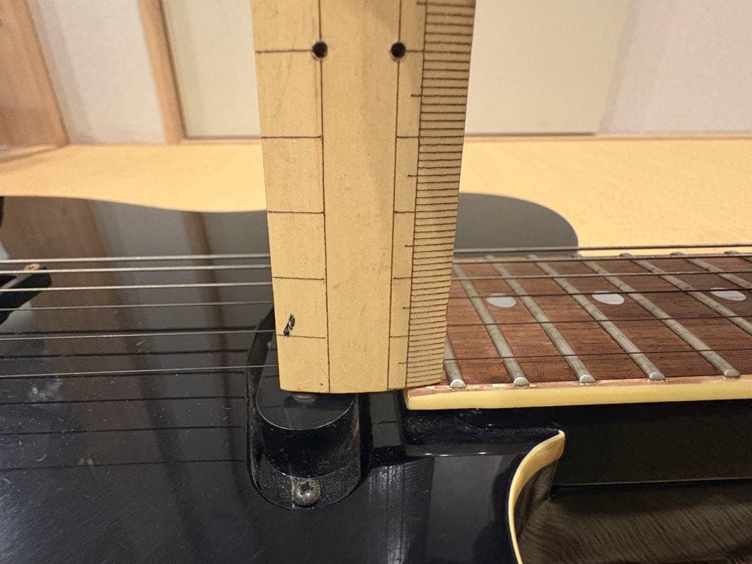 FERNANDES TEJ-55G リミテッドエディション