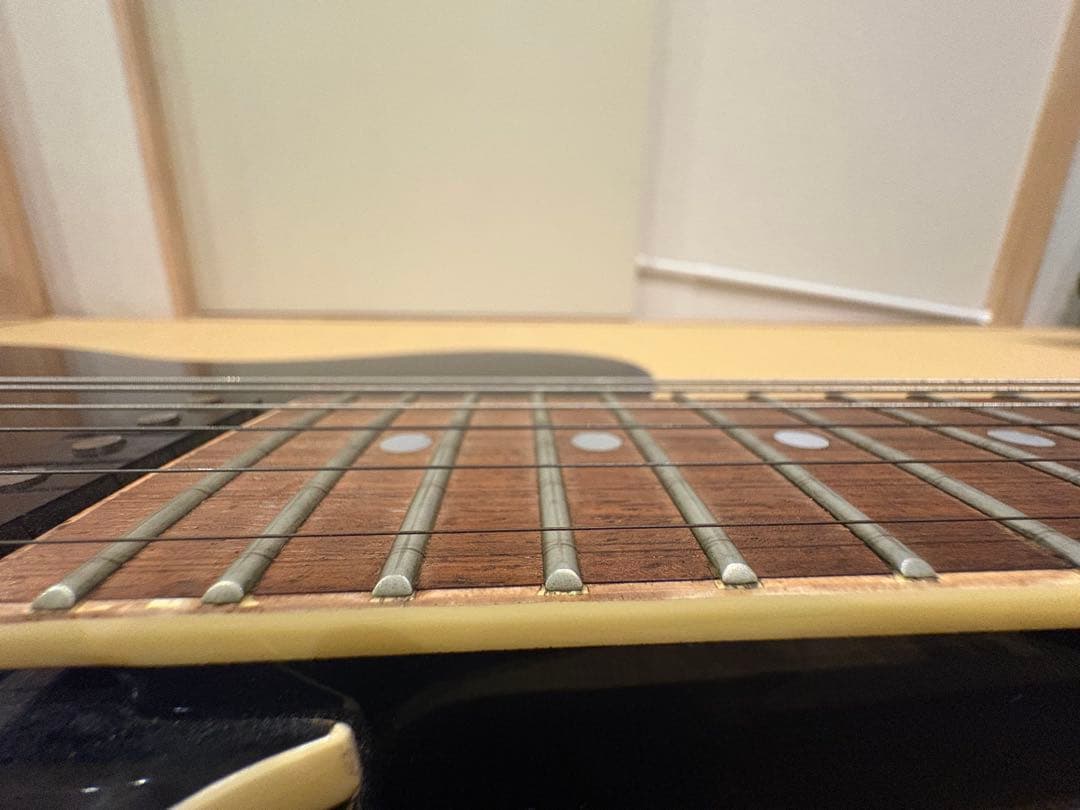 FERNANDES TEJ-55G リミテッドエディション