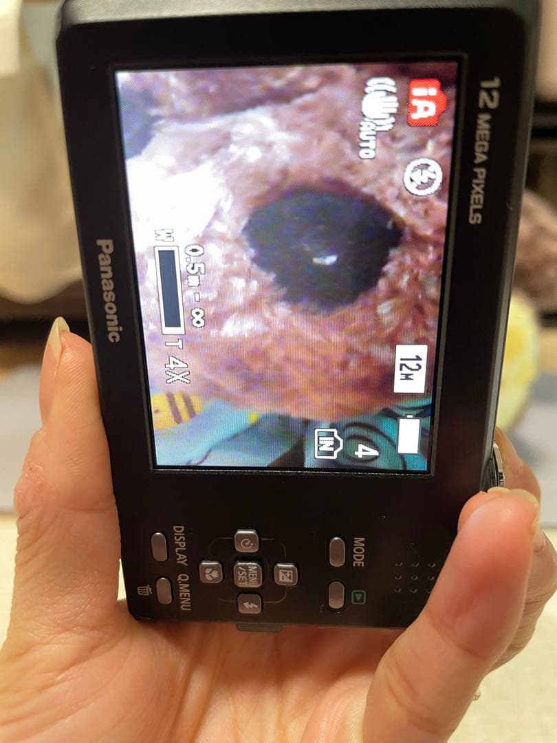 【最終値下げ！美品】希少ピンク✨Panasonic LUMIX FP1 デジカメ