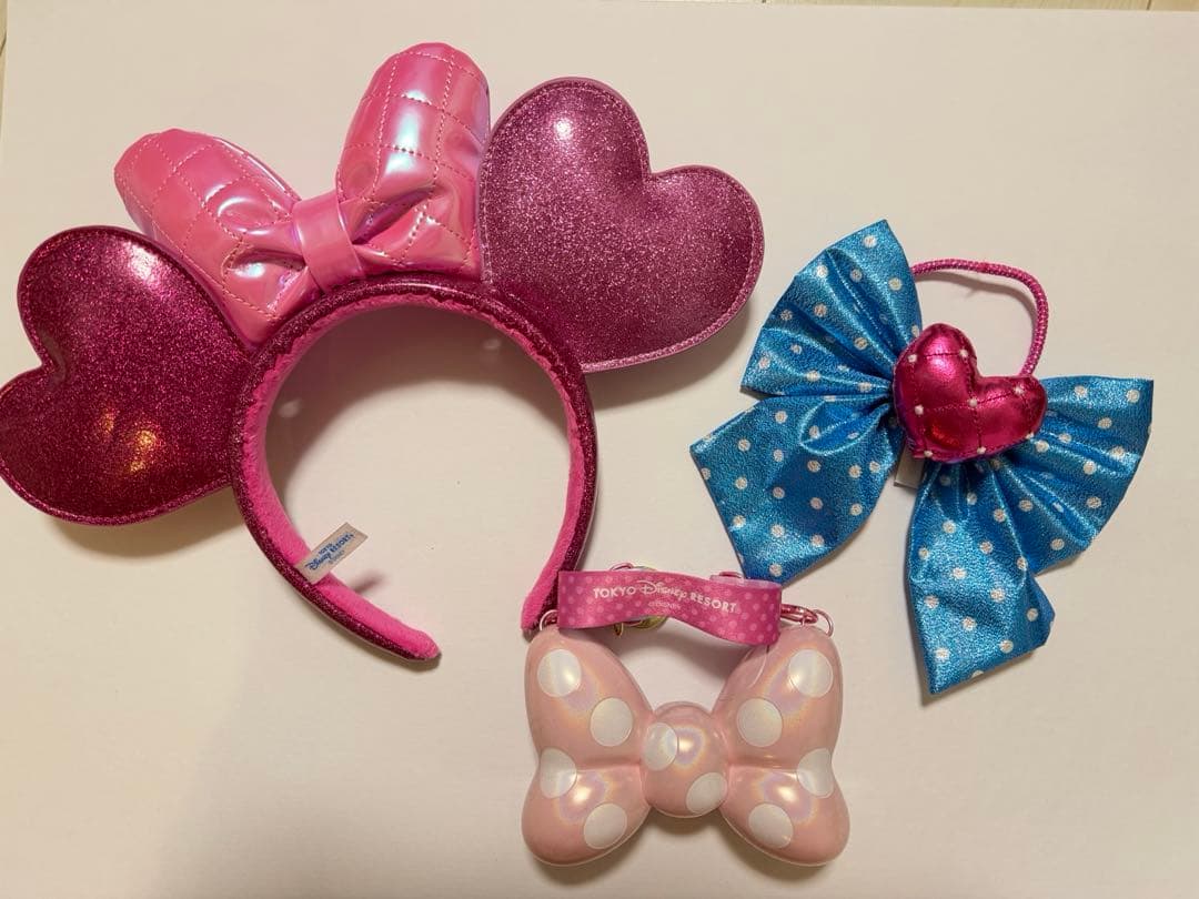 24時間以内発送‼️ディズニー パルパルーザ ミニー ファンダーランド 4点セット