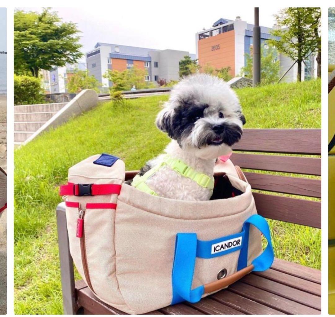 ICANDOR 小型犬キャリーバッグ ベージュ