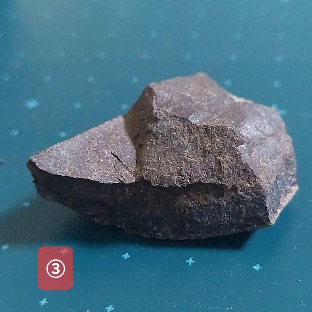 【未使用】カナダ　アルバータ州　恐竜　骨　化石　ティラノサウルス