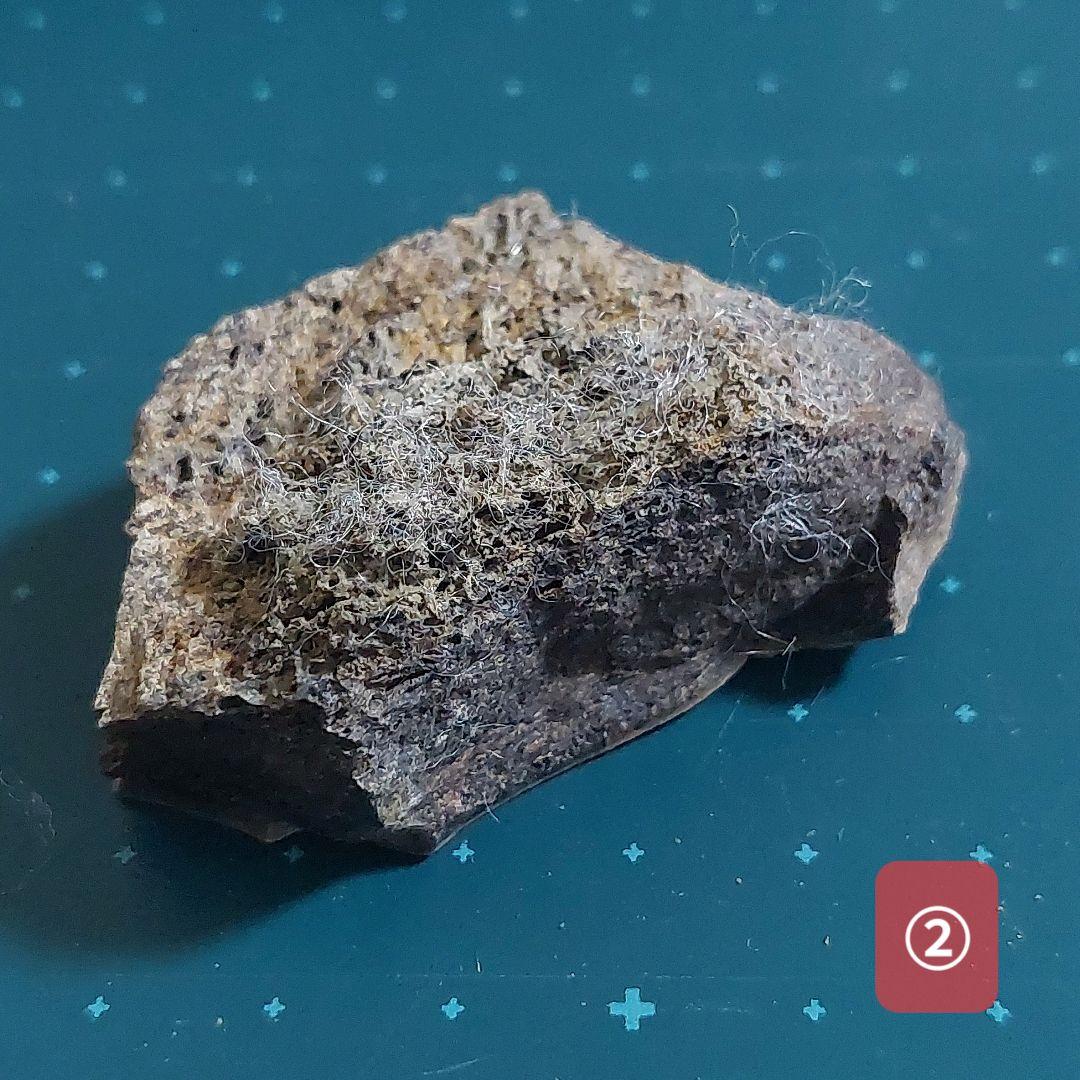 【未使用】カナダ　アルバータ州　恐竜　骨　化石　ティラノサウルス