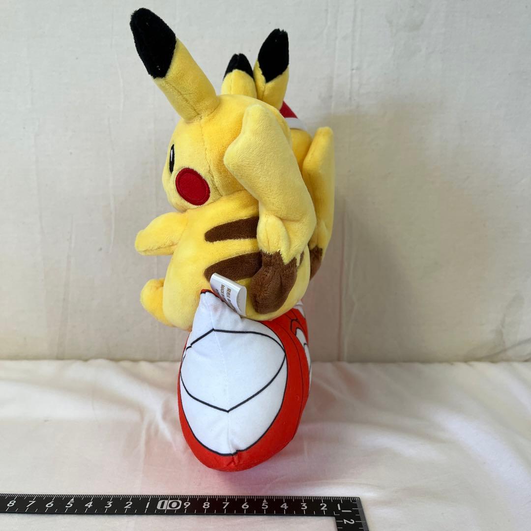 ポケモンセンター ぬいぐるみ マンスリーペアピカチュウ 5月 コイキング