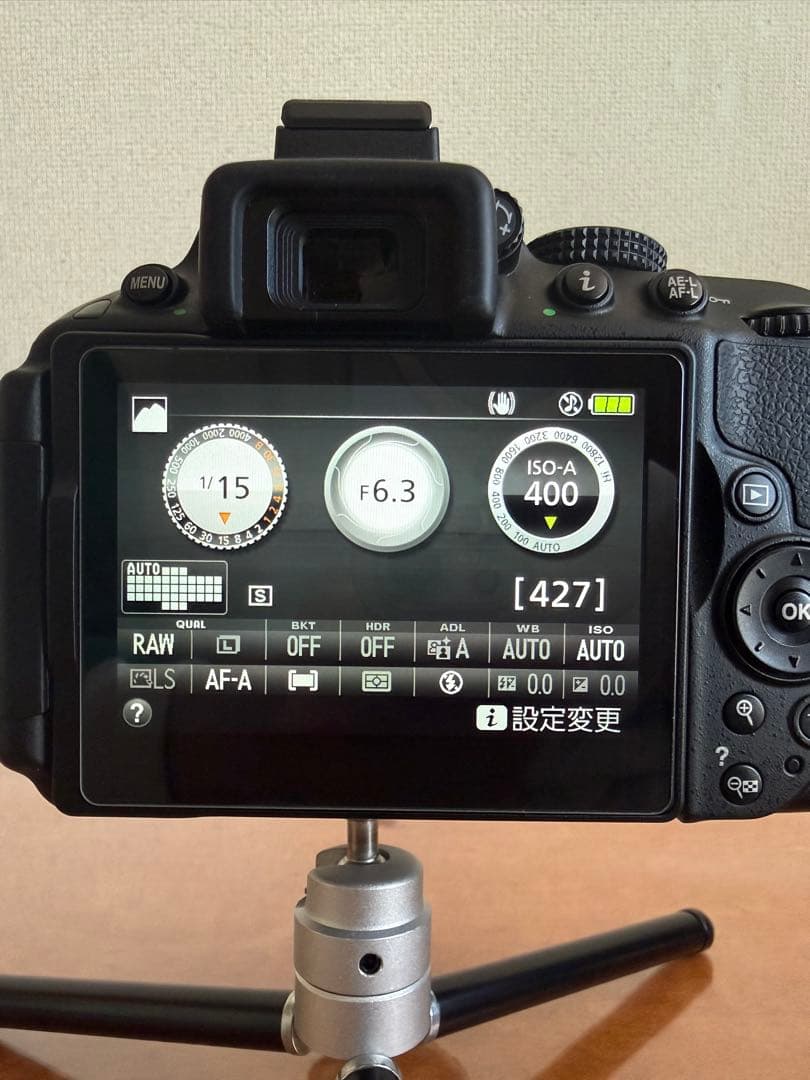 WiFi機能付☆Nikon D5300☆初めての一眼レフに最適♪