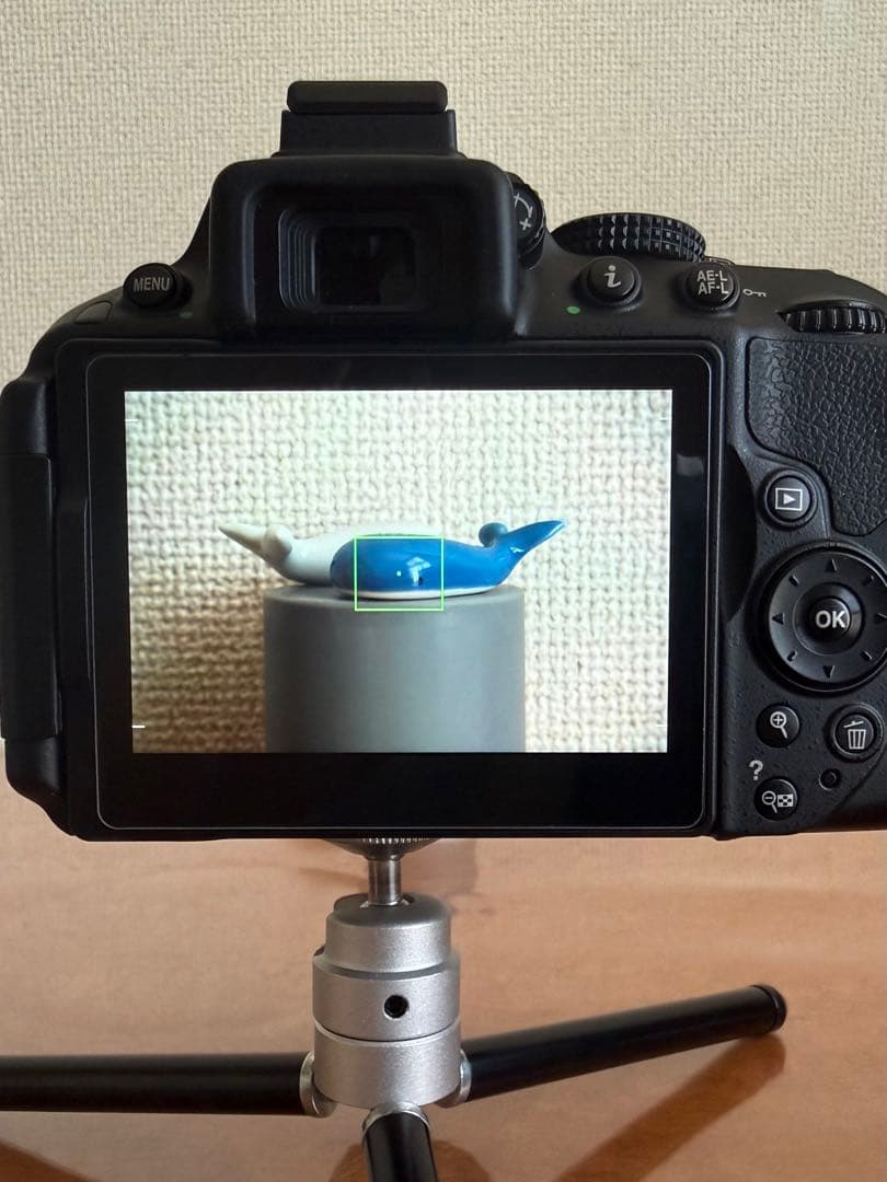 WiFi機能付☆Nikon D5300☆初めての一眼レフに最適♪