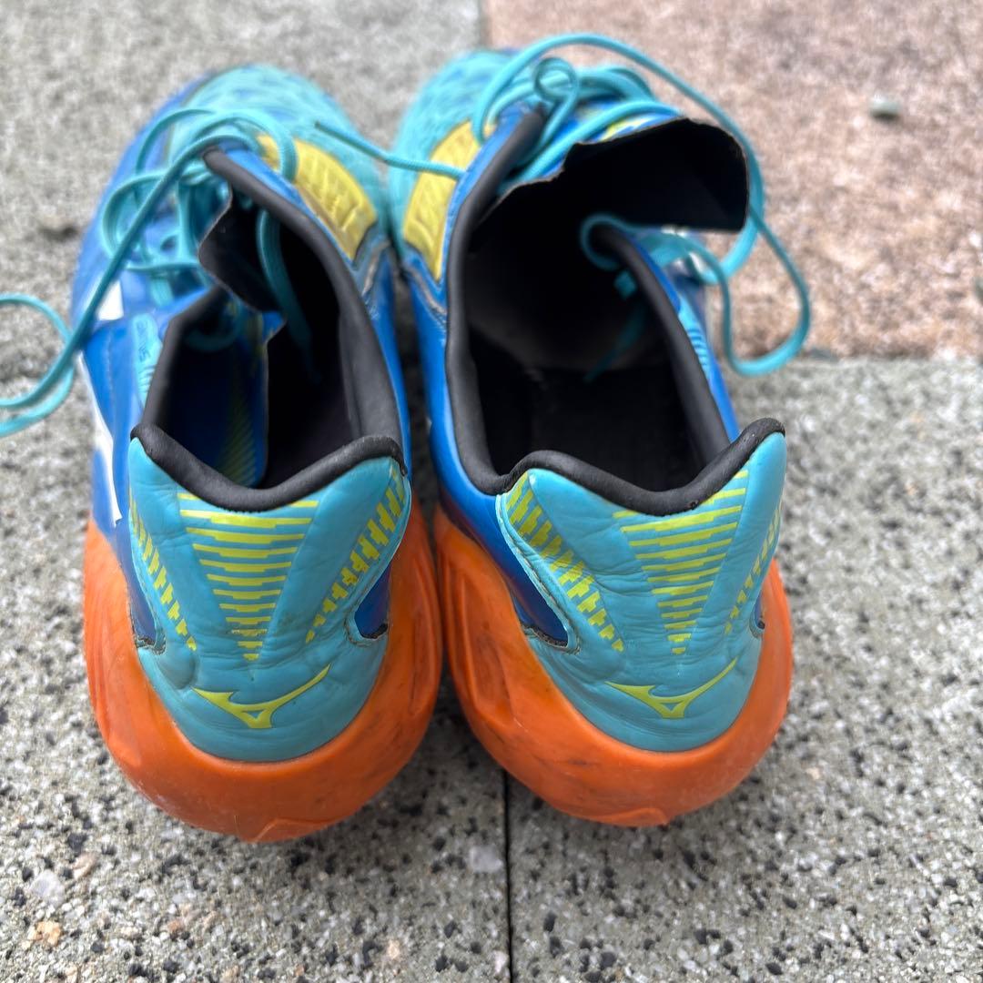 イグニタス　25.5