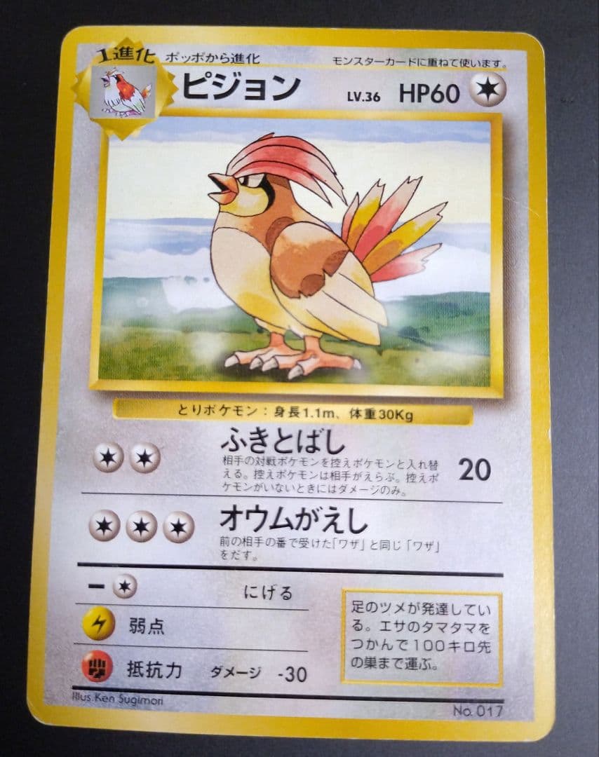 【星エラー有】【初版】ポケモンカード 旧裏 No.017 ピジョン LV.36