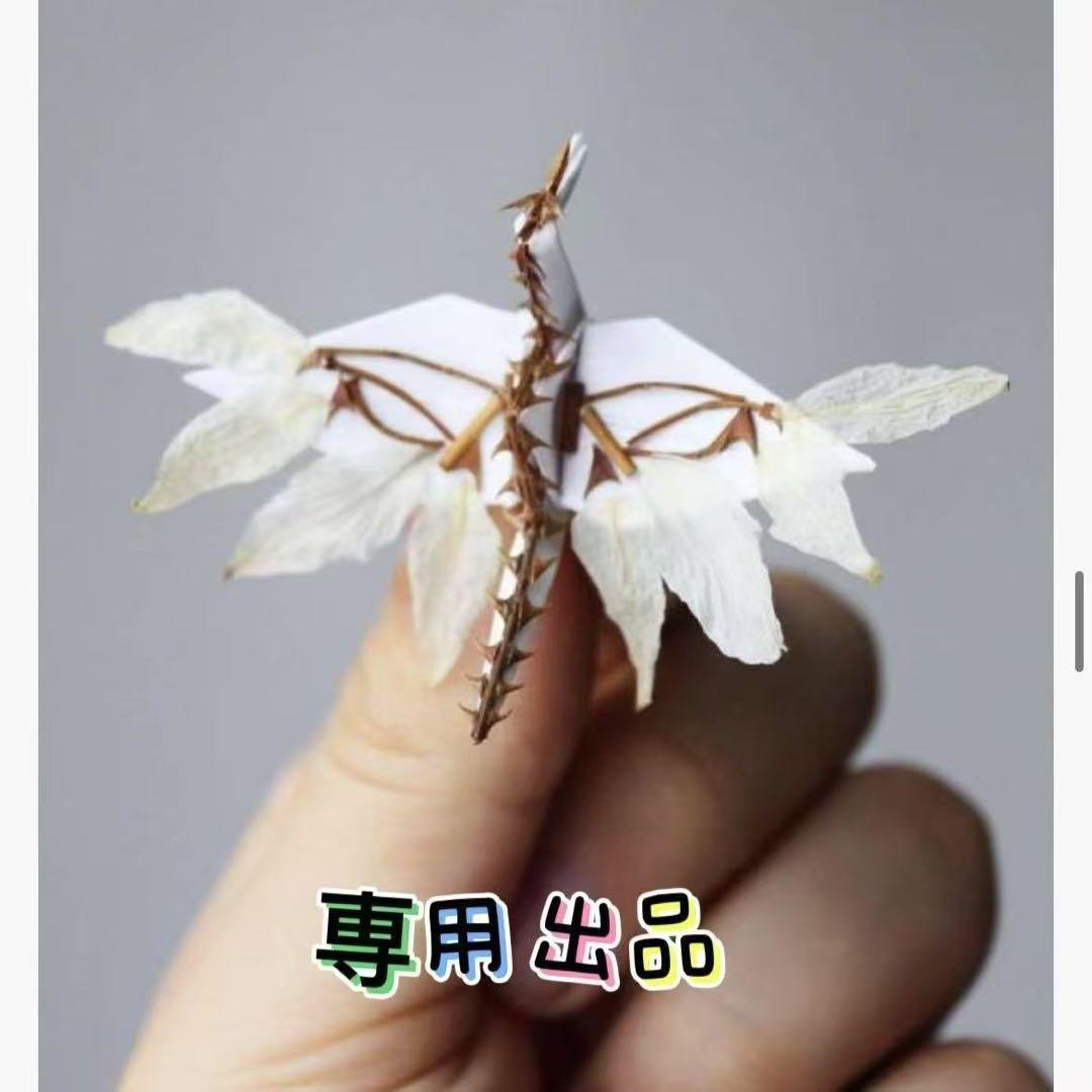 断捨離中！コロボン★プロフ必読★出品