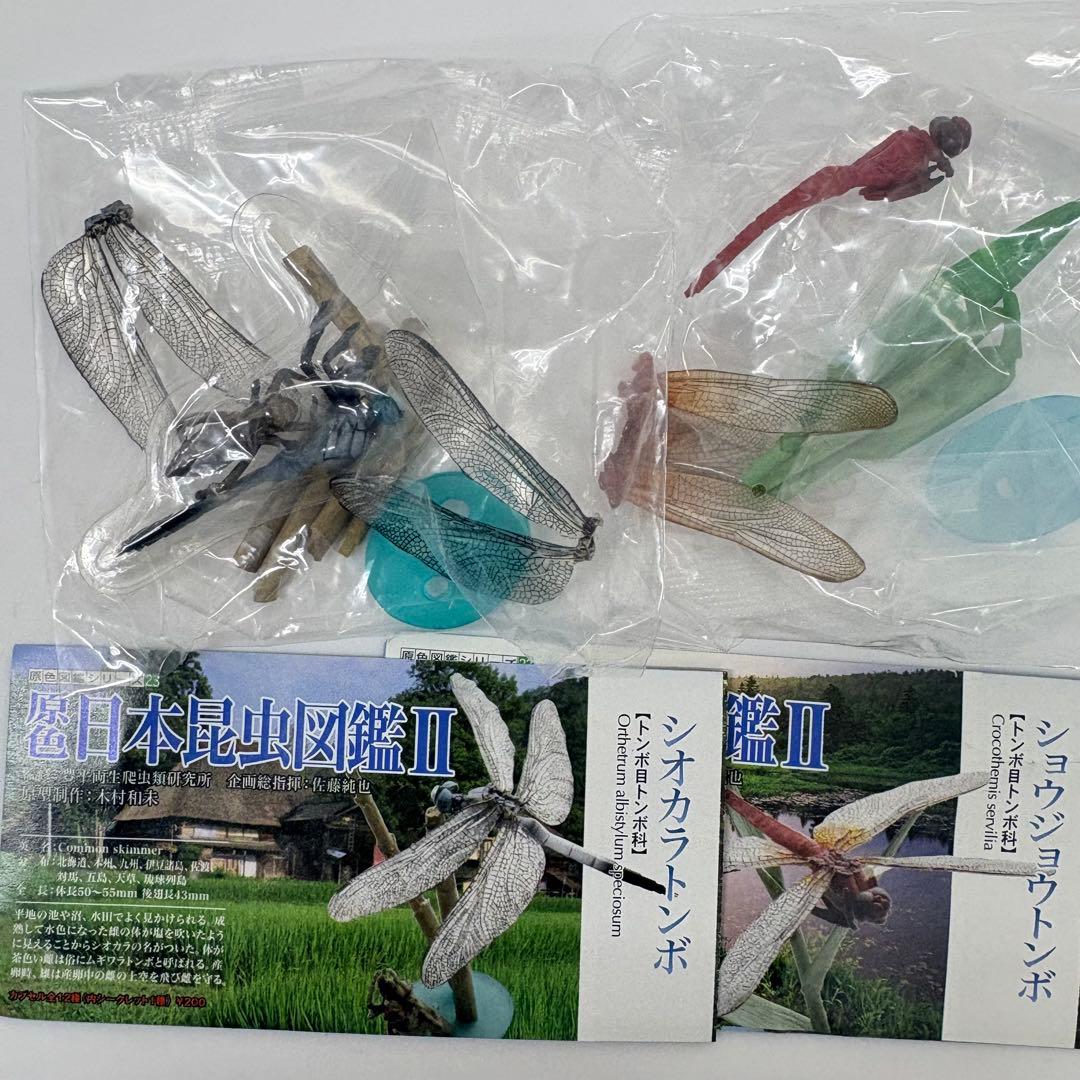 原色日本昆虫図鑑Ⅱ シークレット入りフルコン【未開封品】