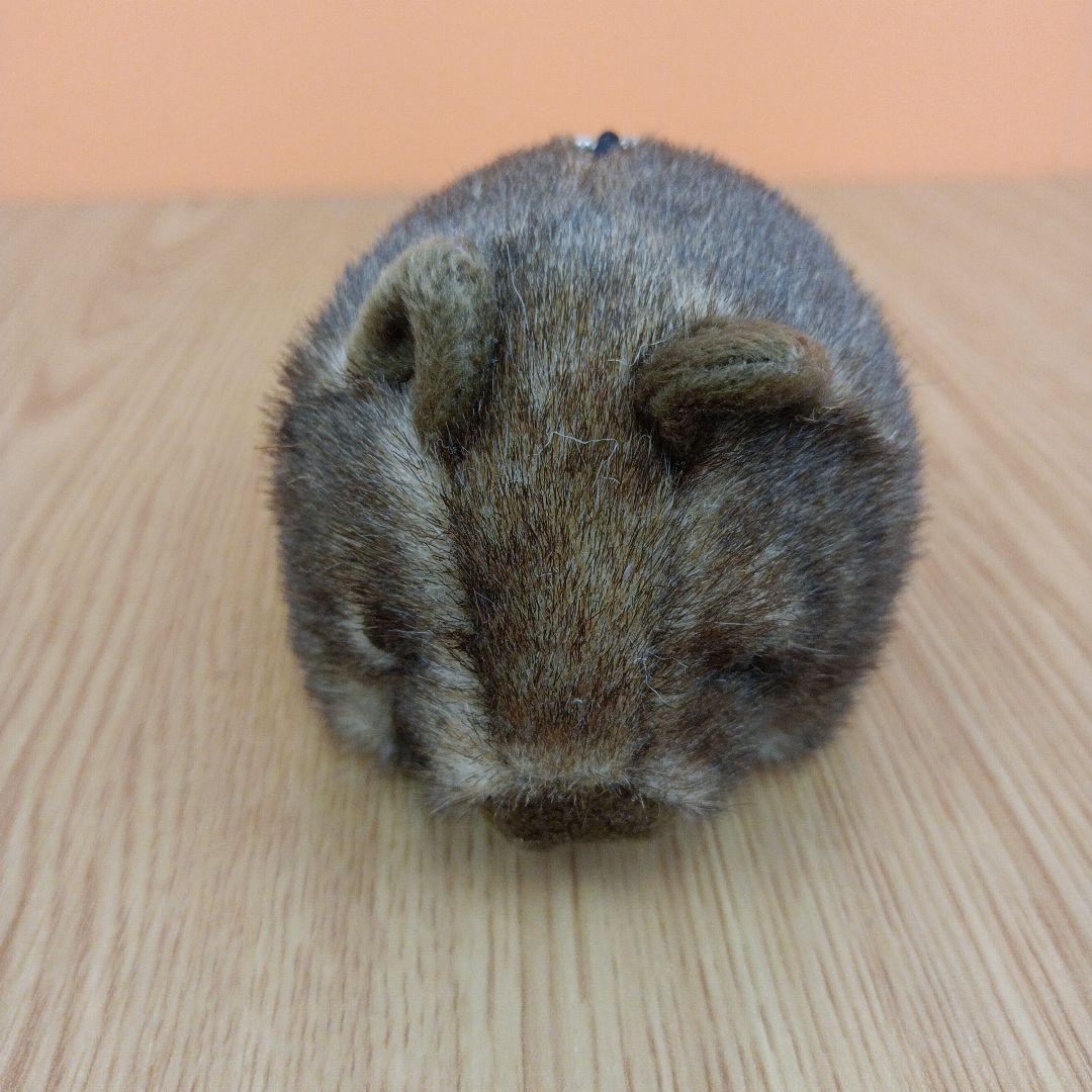 茶臼山動物園 コモンウォンバット ウォレス モモコ ぬいぐるみ マスコット 2点