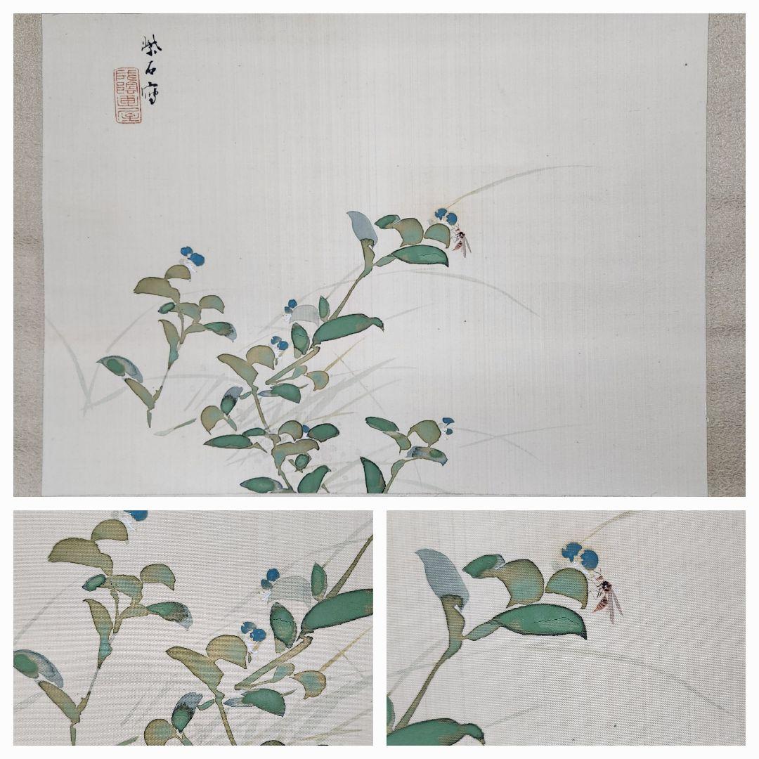 【露草図】二木紫石 2603 共箱 蜂　掛け軸　肉筆