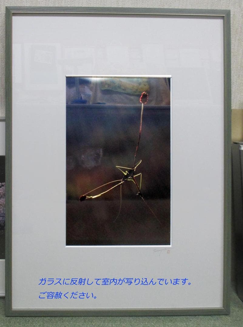 著名な写真家の珍しい写真と大全紙額縁（木製）