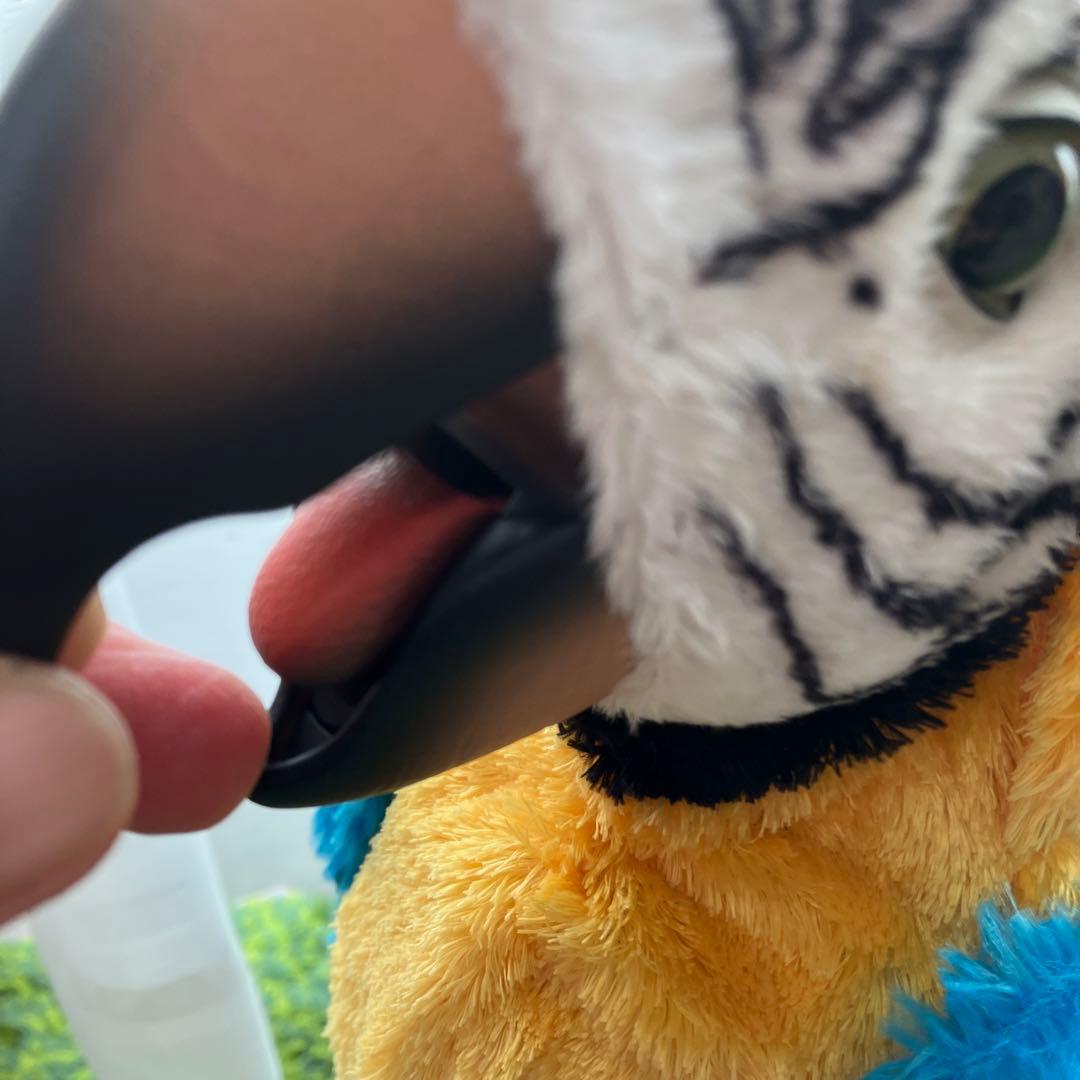 夢おうむ　ぬいぐるみ　いんこ　セガトイズ　鳥　野鳥　南国　本体のみ　リモコンなし