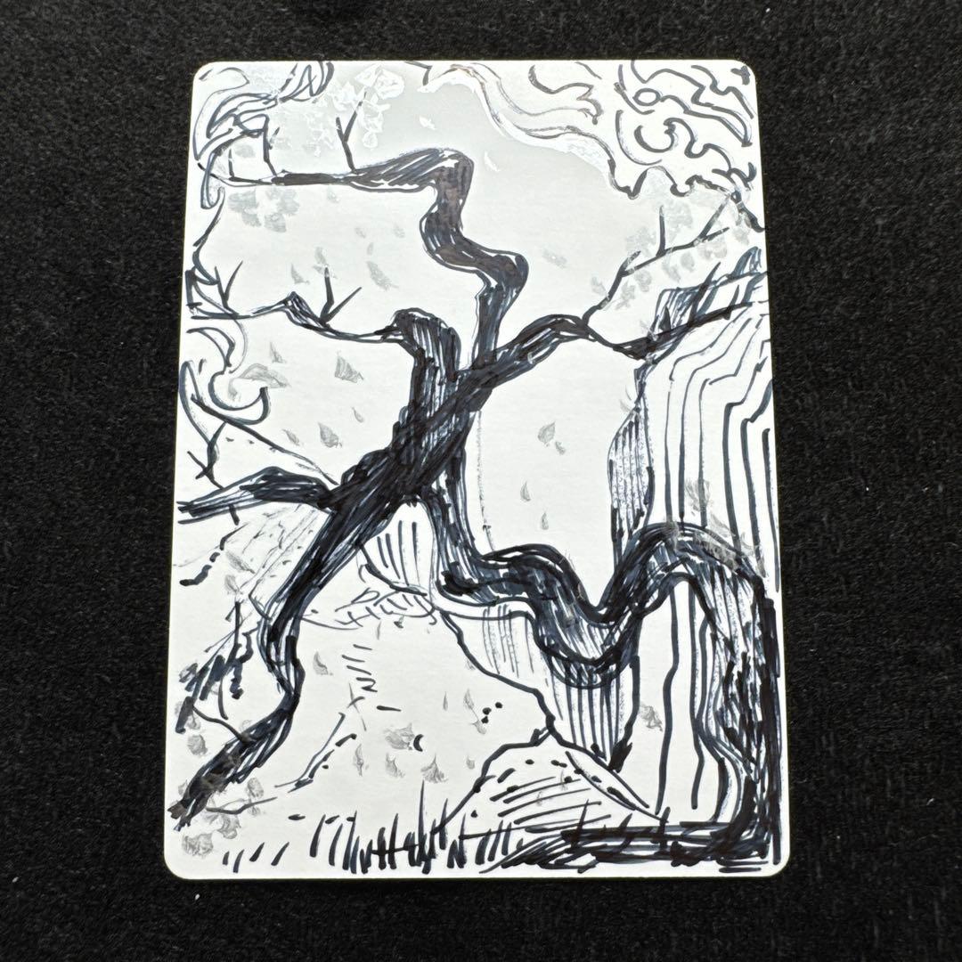 MTG 森　AP アーティストプルーフ　 Forest