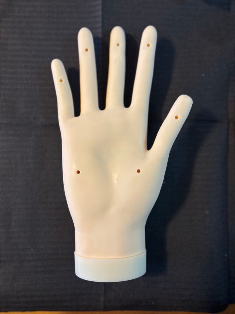 【骨折なし・箱無し】JNEC認定モデルハンド