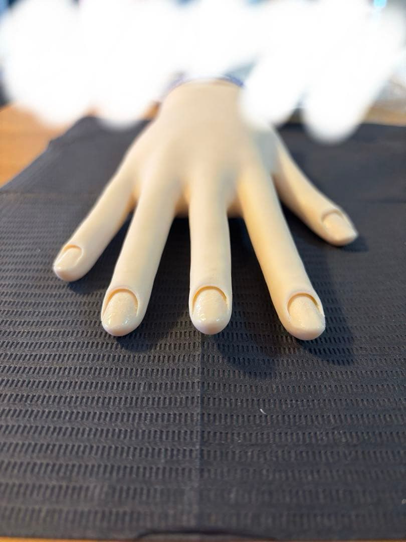 【骨折なし・箱無し】JNEC認定モデルハンド