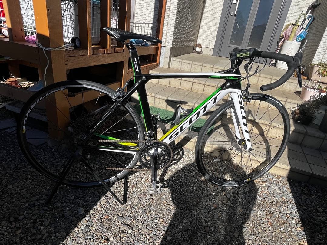 蟹ゾウ Scott フォイル20