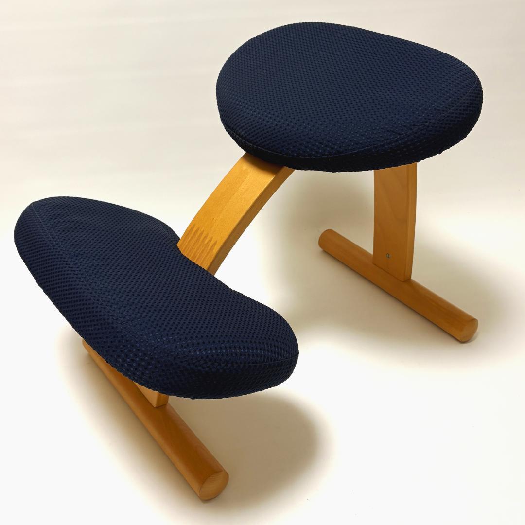 【美品】バランスイージー ネイビー 純正カバー付